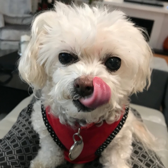 Meet your Posher, Fonda - Picture 4 of 4